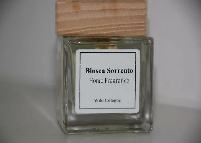 Blu Sea Oda ve Kahvaltı 4*